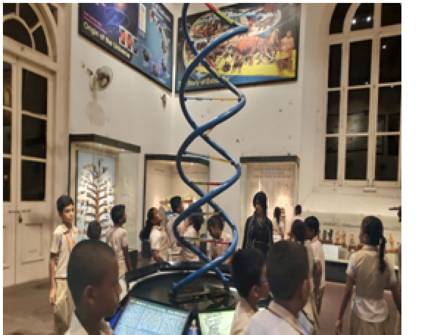 Singing competition shows picture